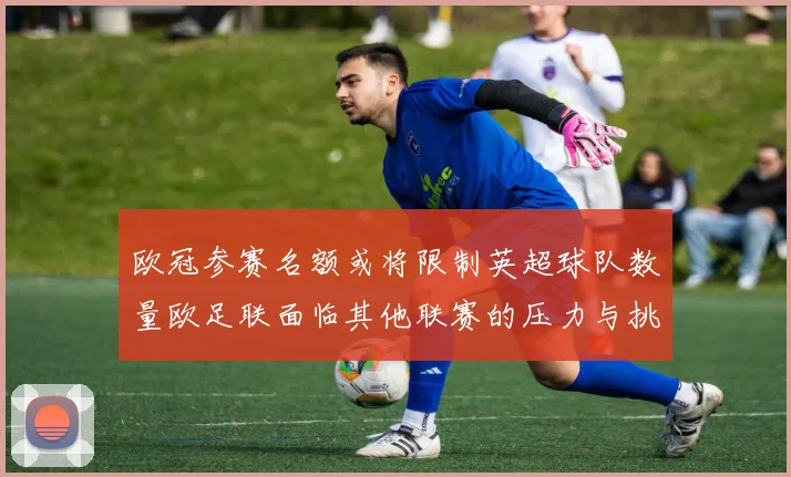 欧冠参赛名额或将限制英超球队数量欧足联面临其他联赛的压力与挑战