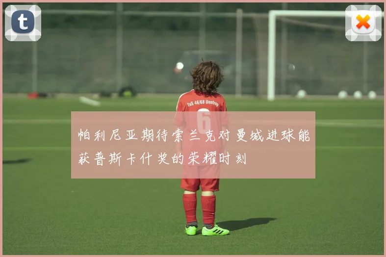 帕利尼亚期待索兰克对曼城进球能获普斯卡什奖的荣耀时刻